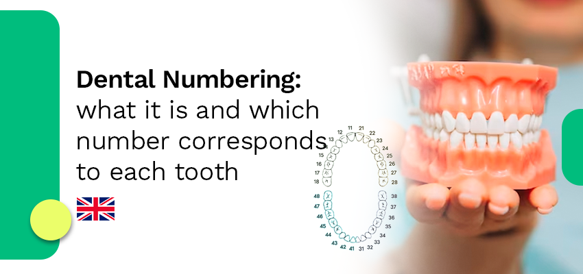 Dental Numbering